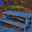 picnic-table