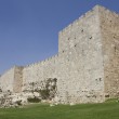 green-jerusalem