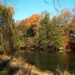 jordan-river1