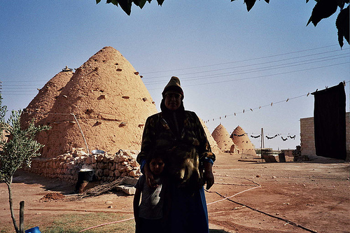 beehive home syria