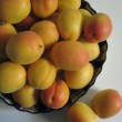apricots-in-bowl-+-2