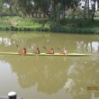 Yarkon image