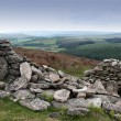 feb-13-eco-rabbi-stones-across-the-path-green-prophet