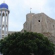 muscat11