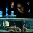 the-deep-visitor
