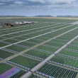 Prototype-Algae-Biofuel-Plant