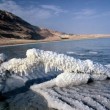 dead-sea-711-500x375