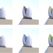 tulipcolors