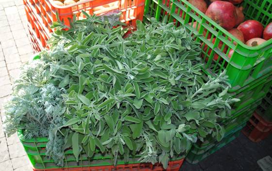 Sage, Wormwood and Lemons: November Seasonal Produce in the Middle East Sage, Wormwood and Lemons: November Seasonal Produce in the Middle East