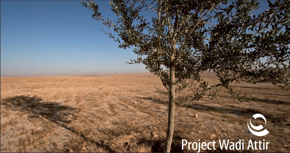 Sustainable Bedouin Farm, Wadi Attir, To Break Ground in the Negev Sustainable Bedouin Farm, Wadi Attir, To Break Ground in the Negev