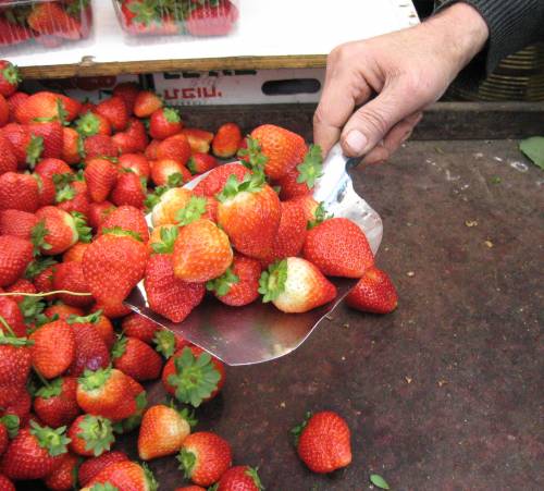 Strawberries and Citrus – February Seasonal Produce Strawberries and Citrus – February Seasonal Produce