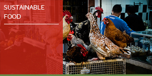 solar energy shams masdar