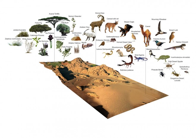 And it is beautiful. But is it right?