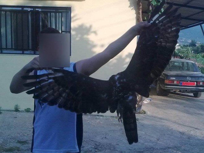 10345982_344590115718507_4789762248220014433_n