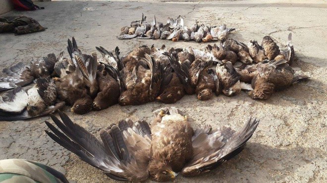 10435009_339904706187048_5270258416716875990_n