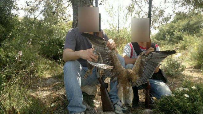 10675704_344590149051837_3237193589886765853_n