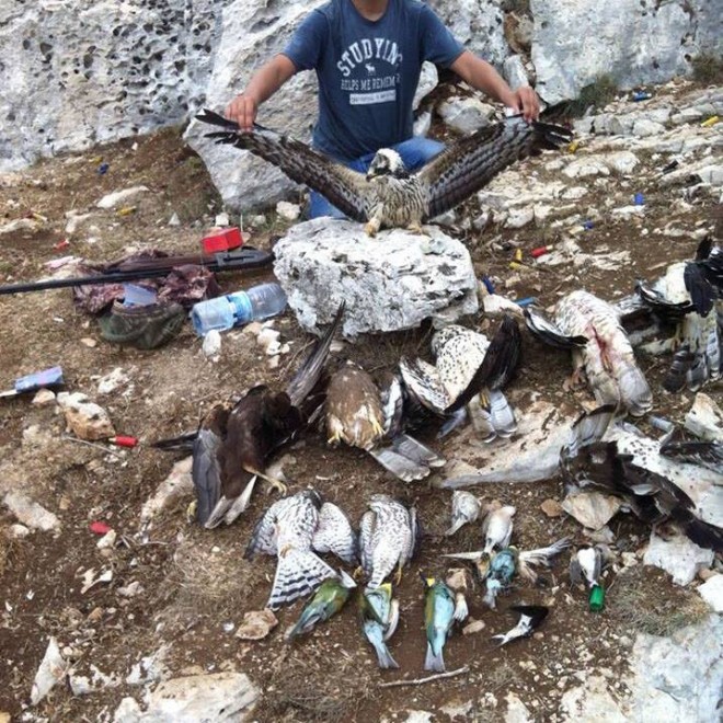 10701974_341150952729090_4126522465200714289_n