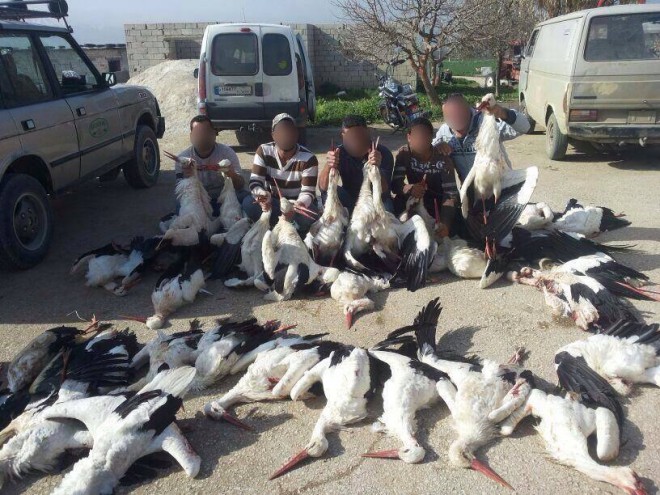 illegal bird hunting lebanon