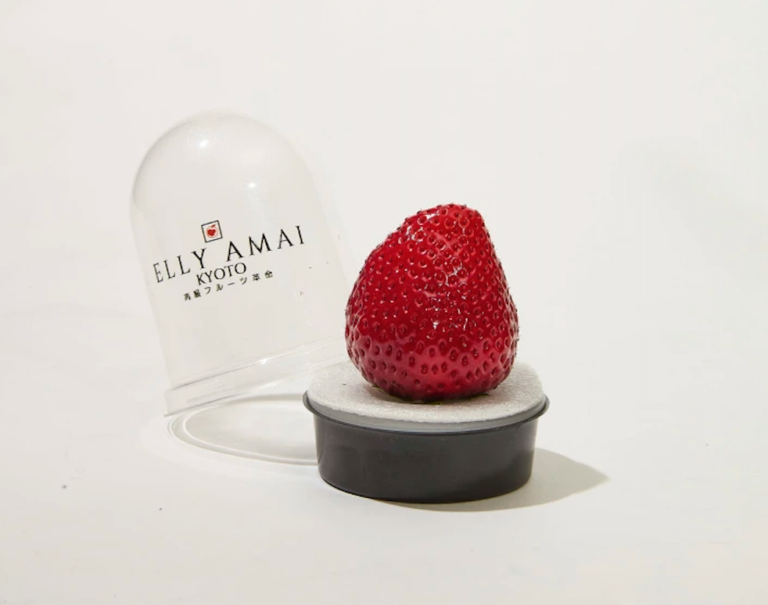 The $19 Strawberry Is a Symbol of Grocery Sticker Shock and Economic Anxiety