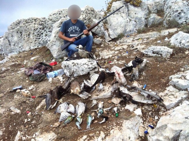 1902751_341150349395817_1039910814186573443_n