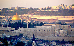 Jerusalem Environment & Nature Conference: 18/19 May