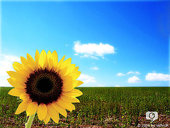 Israel's Dinah Project Greens Your Sex Life