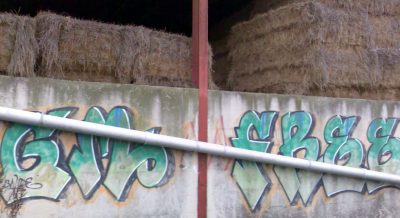 Genetically Modified Hype in Israel