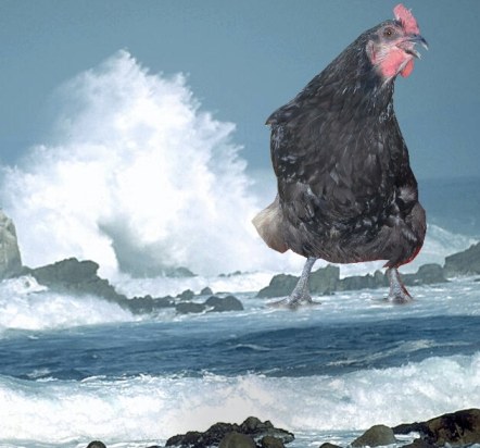 sea chicken pollution image greenprophet green prophet ministry of environmental protection in israel to clamp down on polluters