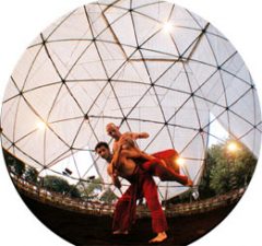 Eco Contact Gets a Green Spin at Bodyways and Vertigo Dance Festival