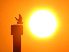 brightsource solar energy factory in israel mohave desert photo