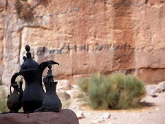 Water & the Bedouin: Sharing the Resources