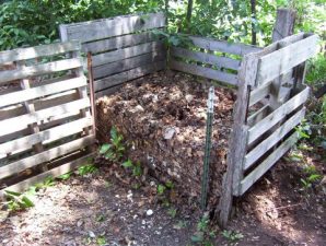 Mulch, rot, and reinvigorate: composting