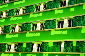 Kudos to the Government of Israel for Going Green!