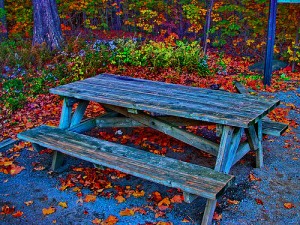 Eco-Rabbi: Parshat Maasei – What Kind of Mark Are You Leaving?