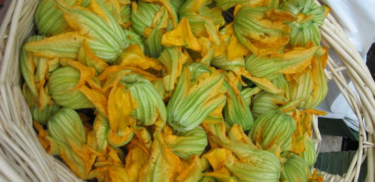zucchini-flower-squash-blossom-basket.jpg