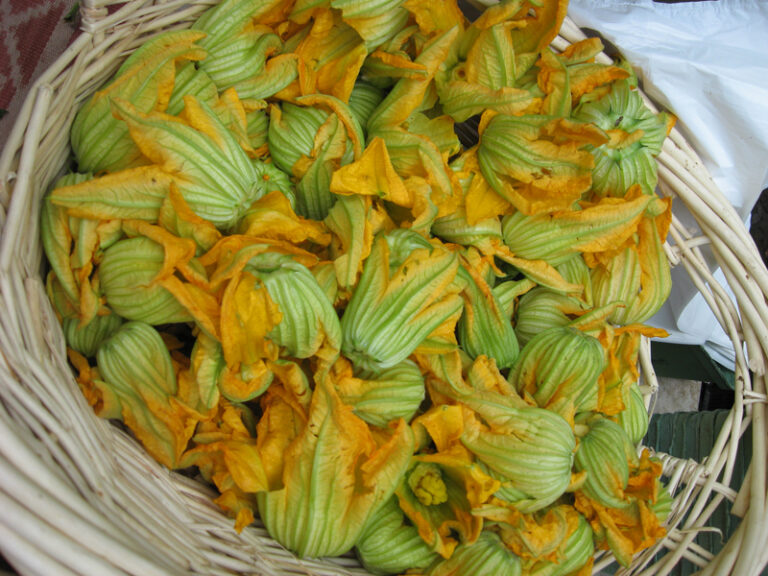 Zucchini Blossom Frittata Makes the Most of Farmers' Market Jackpot