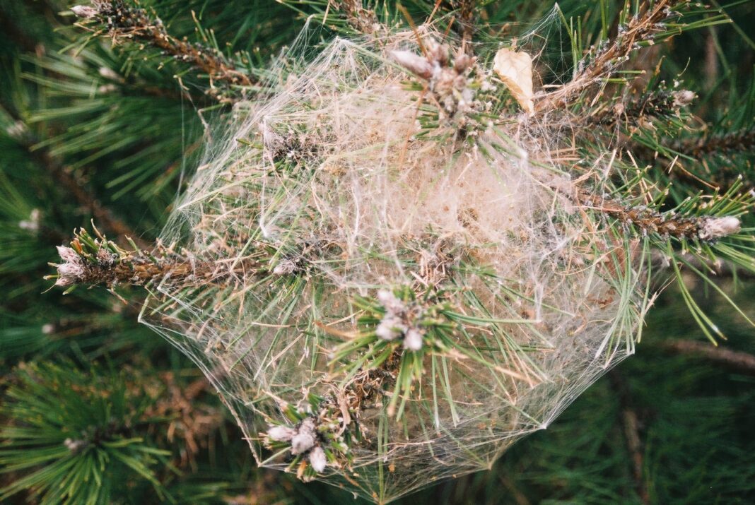 Green Books Roundup Review on Grist, TreeHugger, Ed Begley's New Reads