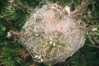 Green Books Roundup Review on Grist, TreeHugger, Ed Begley's New Reads