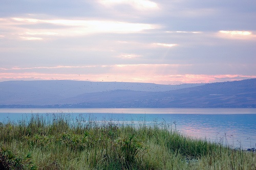 sea of galilee kinneret environmental protection SPNI