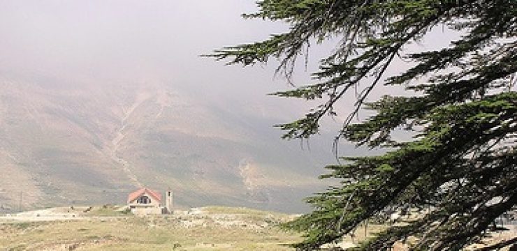 lebanon-cedars.jpg