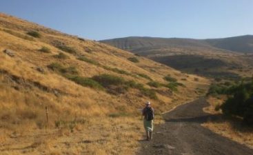 Leave No Trace: Ecologically Responsible Hiking