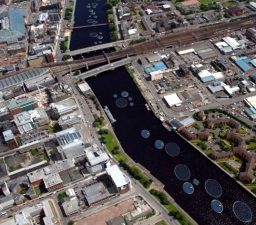 Solar Energy: Easy on the Eyes Too?