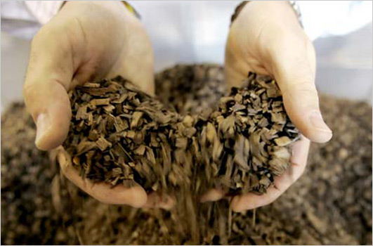 wood chip biomass creates alternative steam energy for AES and GNRY photo