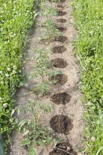 The California-Israel Chamber of Commerce to Bring Top Israeli Cleantech Companies to the US