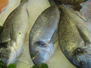Eilat Fish Cages: Out of frying pan, into Ashdod harbor