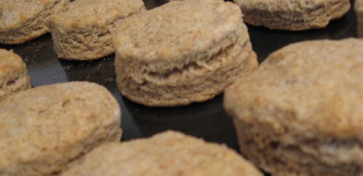 homemade-whey-biscuit-recipe.jpg