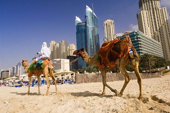 Trouble in Paradise: Dubai's Beaches Severely Polluted