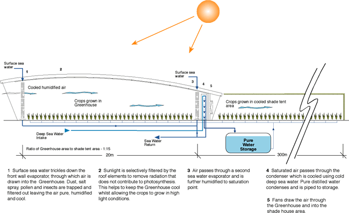 abu dhabi seawater greenhouse diagram