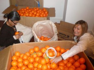 The Jaffa Orange Gets The Carbon Label