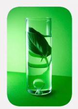 BotanoCap Delivers Pest-Fighting Essential Oils To Make "Organic" Standard Practice